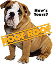 Exceptional Roofing Services